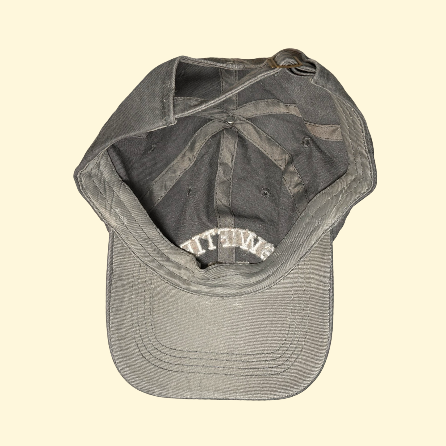 Swiftie Hat